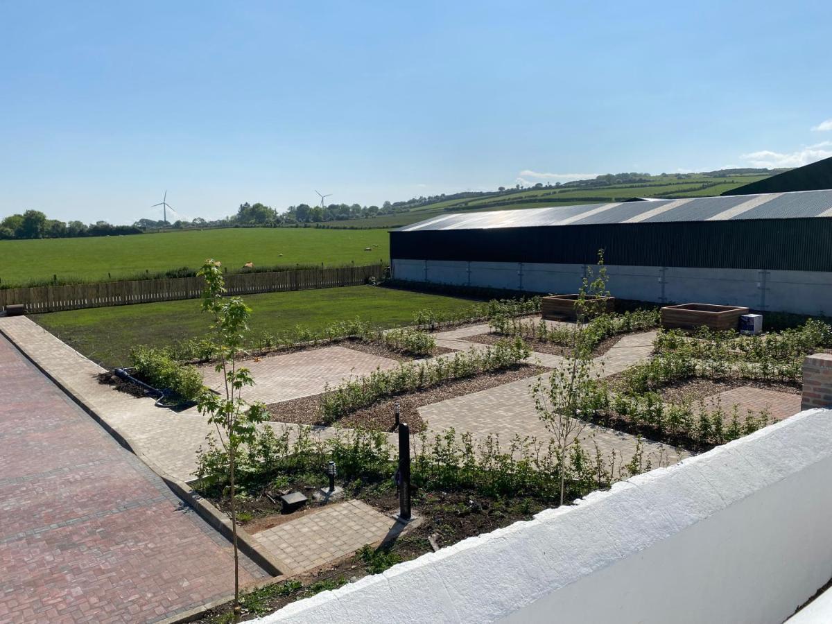 Ballymullock Barn Lofts Carncastle Esterno foto